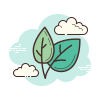 Planta